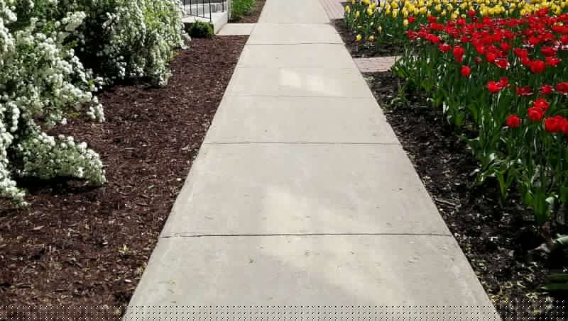 Sidewalk Slab Replacement