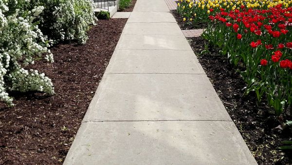 Cost of Sidewalk Slab Replacement in Fuquay Varina