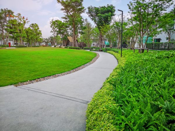 Cost of Cement Walkway Service in Fuquay Varina